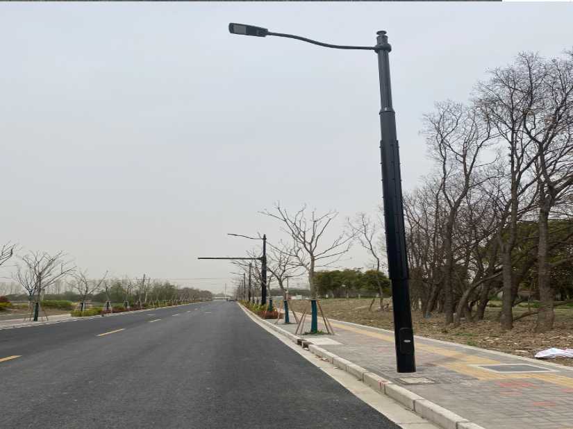 滨湖区上海综合杆 太阳能路灯工程